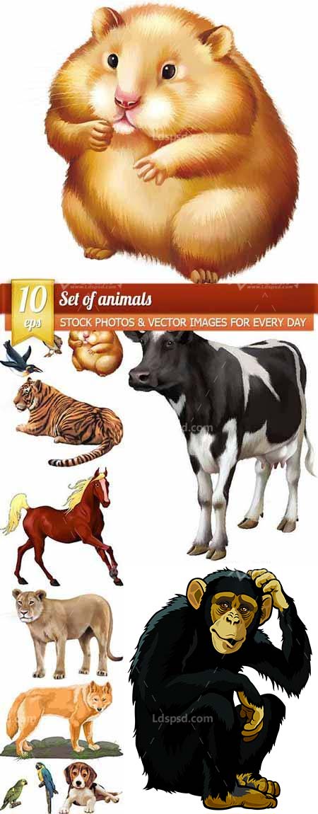Set of animals, 10 x EPS,10个矢量的动物素材(EPS格式)